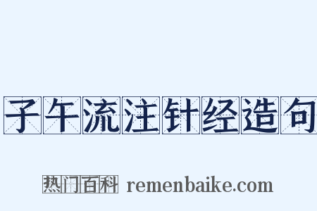 子午流注针经造句是什么意思的图片